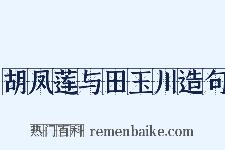 胡凤莲与田玉川造句是什么意思的图片